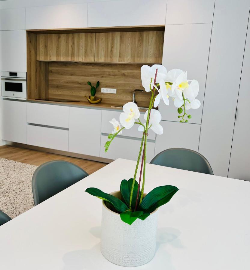 Best Loft Near Real Madrid Stadium المظهر الخارجي الصورة